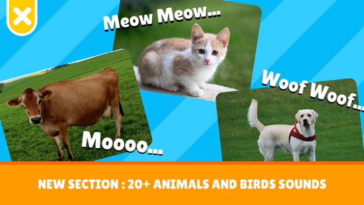 Toddler Baby Kids Flash Cards screenshot-4