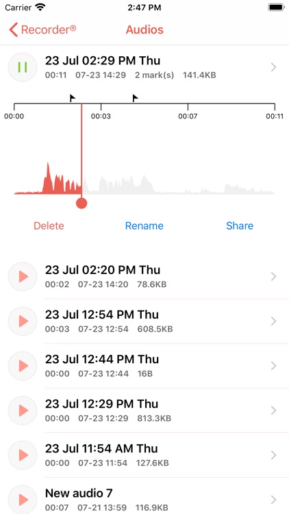 Recorder - Voice & Audio