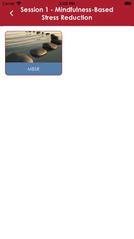 Game screenshot TIES Mindfulness hack