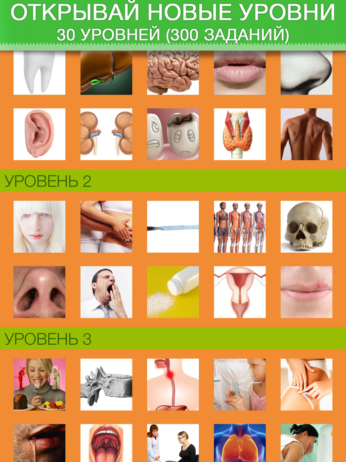 Тело человека. Викторина