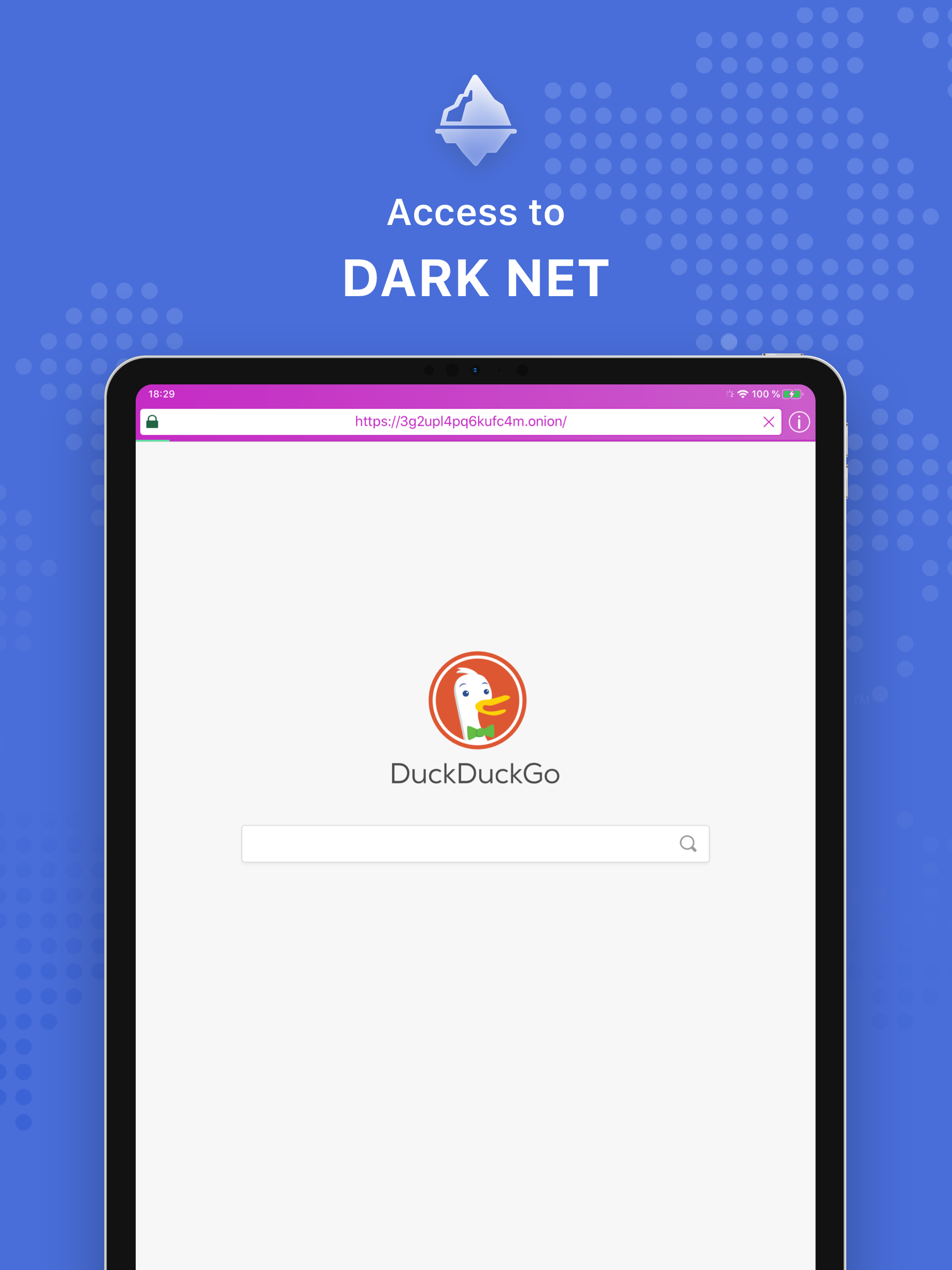 TOR Browser Private + VPN