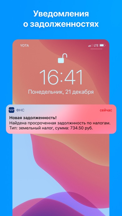 Налоги физлиц: проверка/оплата Screenshot