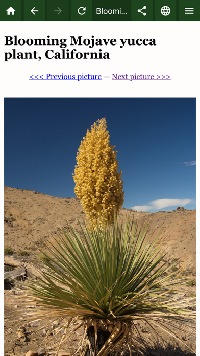Golden Yacca vegan supplements Screenshot