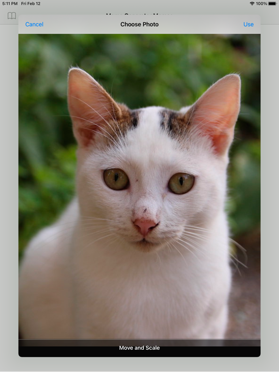 Meme Generator Add text to pic iPad screenshot 4 - Entertainment app