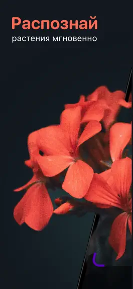 Game screenshot Определение растений и цветов mod apk