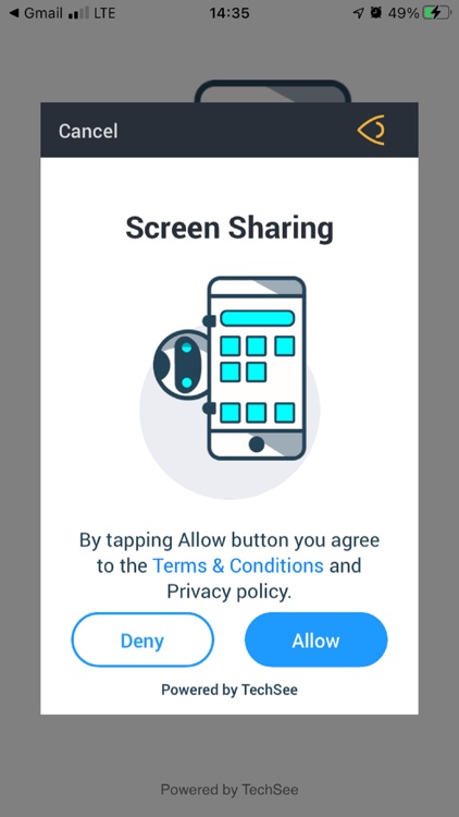 TechSee Instant Mirroring