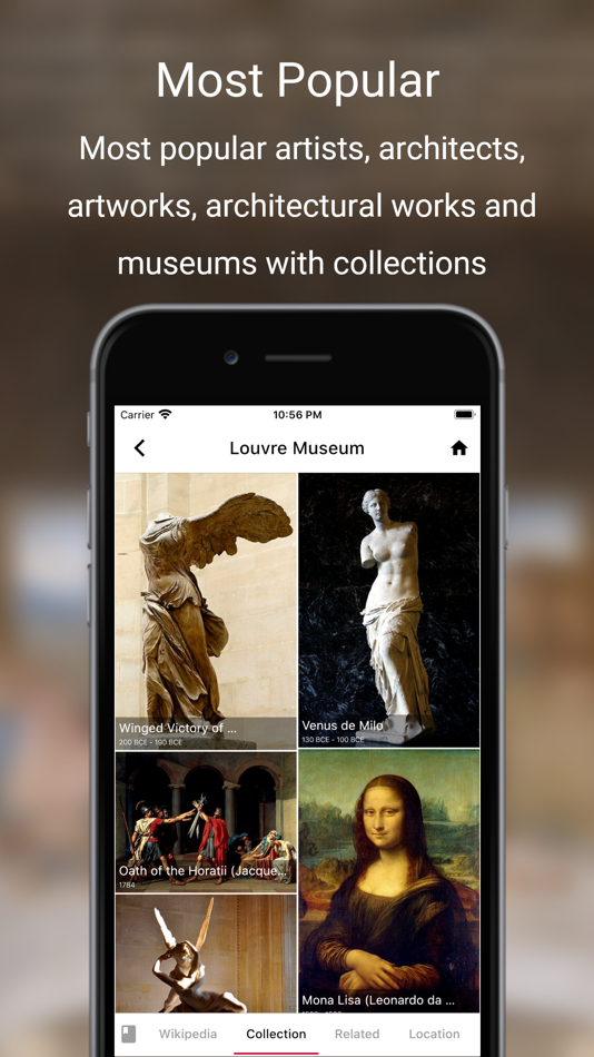 #8. History of Art App (iOS) 由: Mustafa Gunes