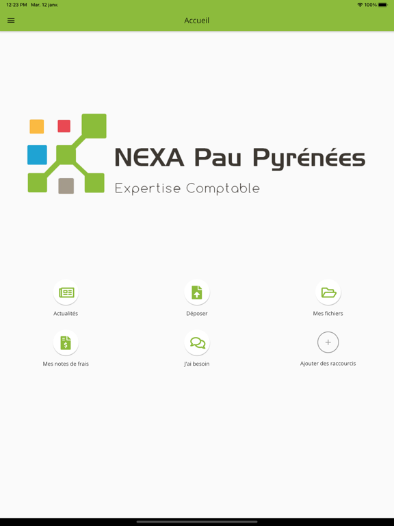 Screenshot #4 pour Nexa Pau Pyrénées
