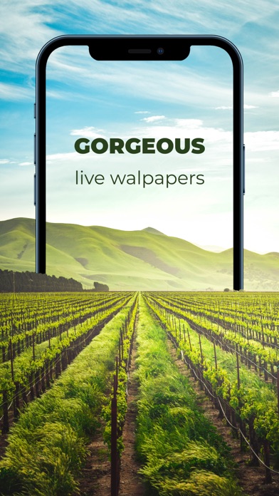 Live Wallpaper 4k Screenshot