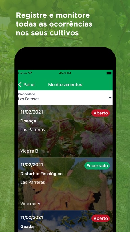 Demetra screenshot-5