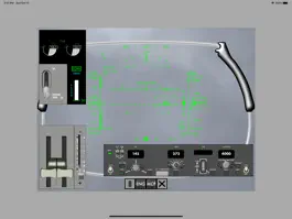 Game screenshot HUD RAW ILS mod apk