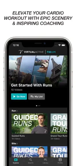 Game screenshot Virtual Active Roam apk