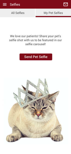 Uniquely Cats(圖4)-速報App