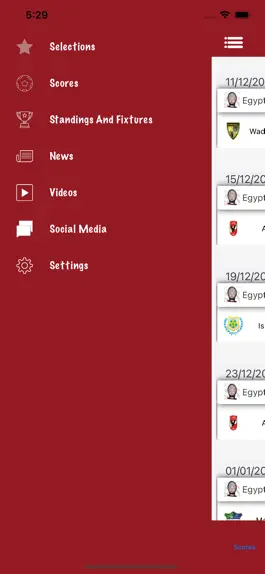 Game screenshot Egyptian Football Association hack