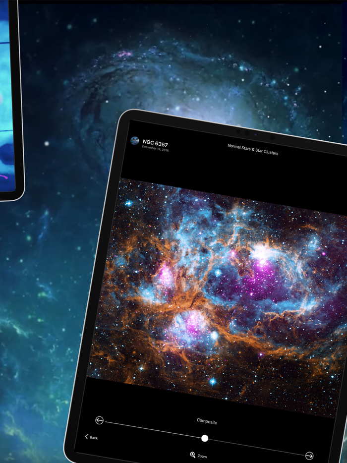 Chandra 20 Years and Beyond