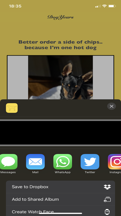 DogYears - A Pet Age Converter Screenshot