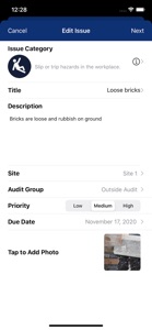 iAudit - Health & Safety Audit screenshot #1 for iPhone