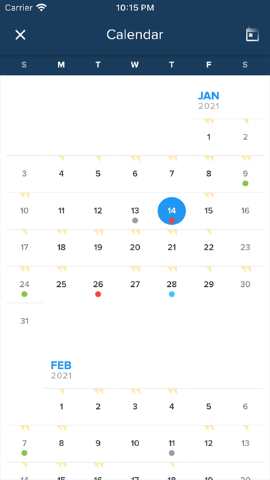 Hindu Calendar - Panchang Screenshot