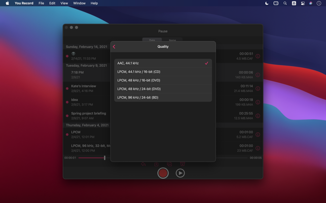 ‎You Record Pro Screenshot