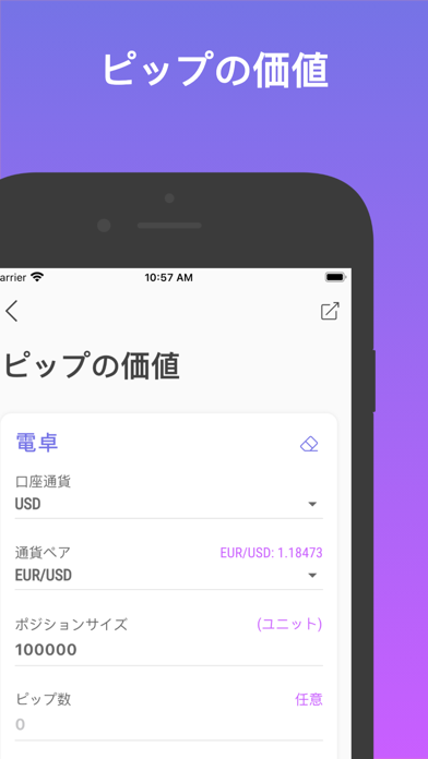 Forex 計算機 screenshot1