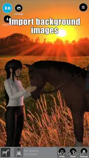horse poser problems & solutions and troubleshooting guide - 2