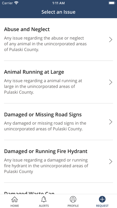 Pulaski Works Screenshot