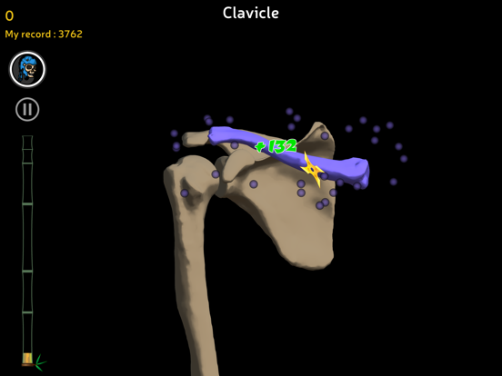 Anatomy Ninja Upper Limbのおすすめ画像3