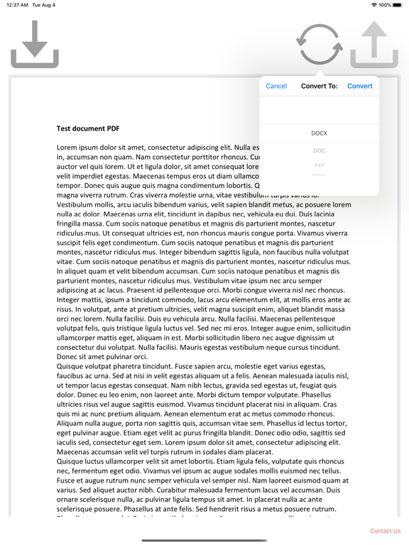 Screenshot #5 pour PDF Converter App