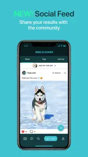 How to cancel & delete dog scanner 1