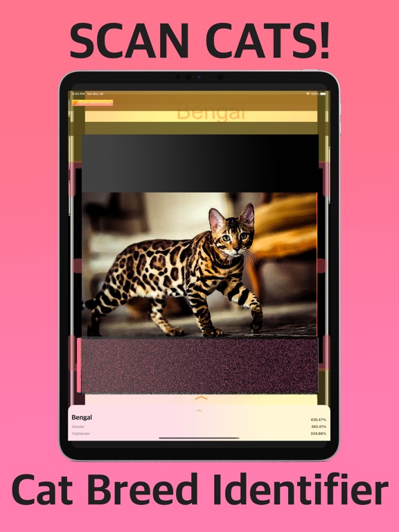 Screenshot #4 pour Cat Identifier