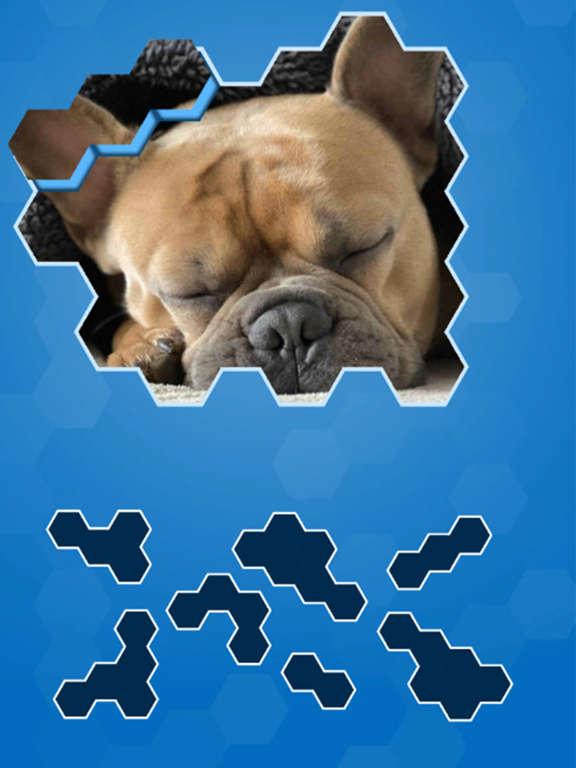 Screenshot #4 pour Hexa Puzzle Jigsaws