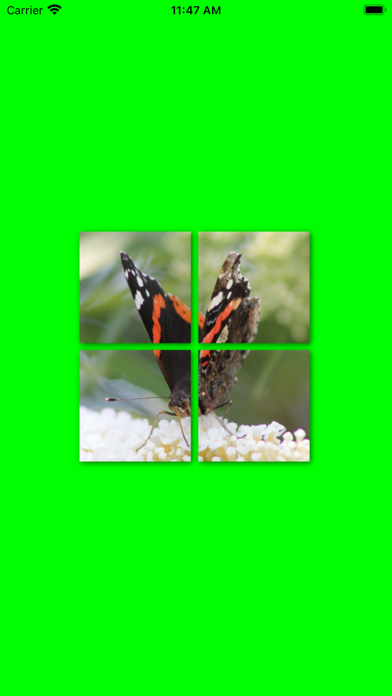 Screenshot #1 pour PiPu