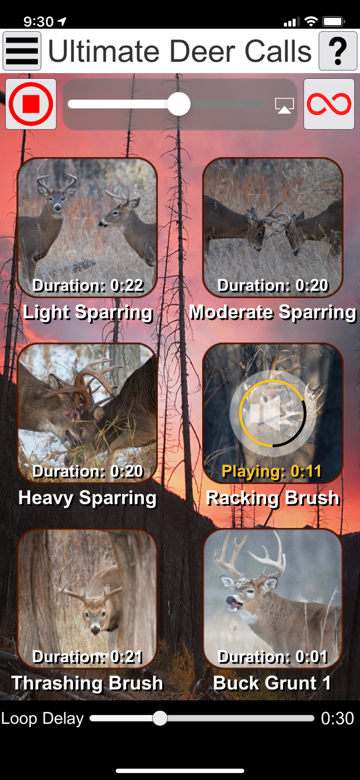 Ultimate Deer Calls screenshot 4
