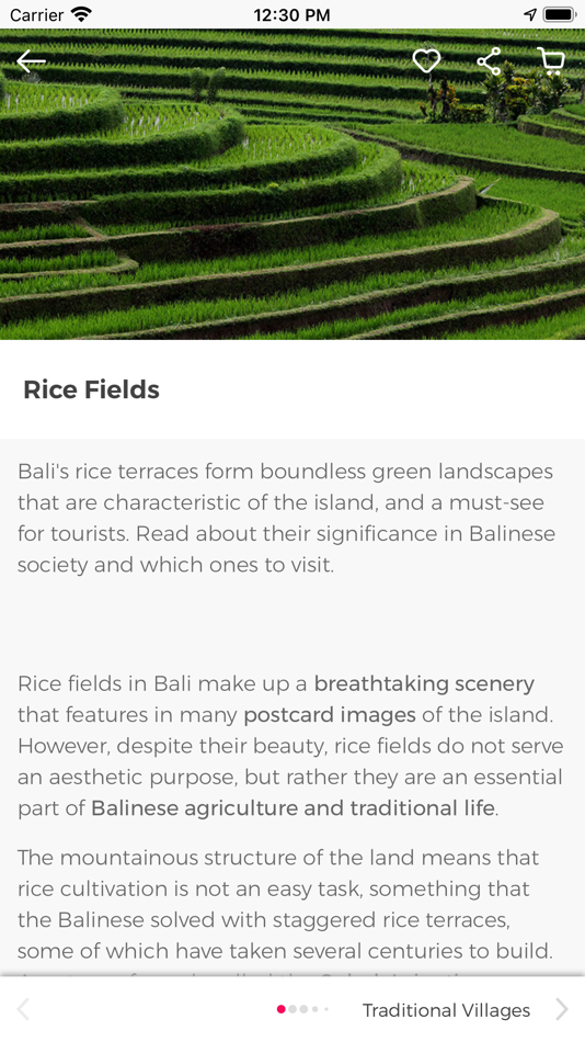 #9. Bali Guide by Civitatis.com (iOS) Podle: CIVITATIS TOURS S.L.