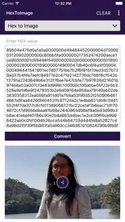 hextoimage converter iphone screenshot 1