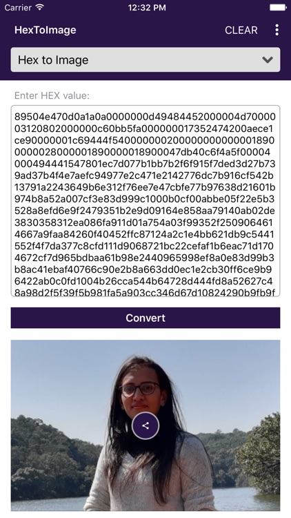 HexToImage Converter