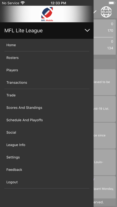 MFL Lite Screenshot