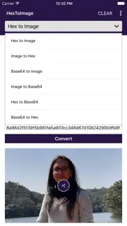 hextoimage converter iphone screenshot 2