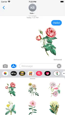 Game screenshot Vintage Flower Stickers mod apk