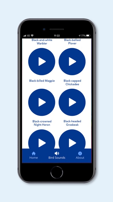 DK AMNH Bird Sounds Screenshot