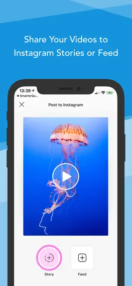 Game screenshot SmarterQueue for Instagram apk