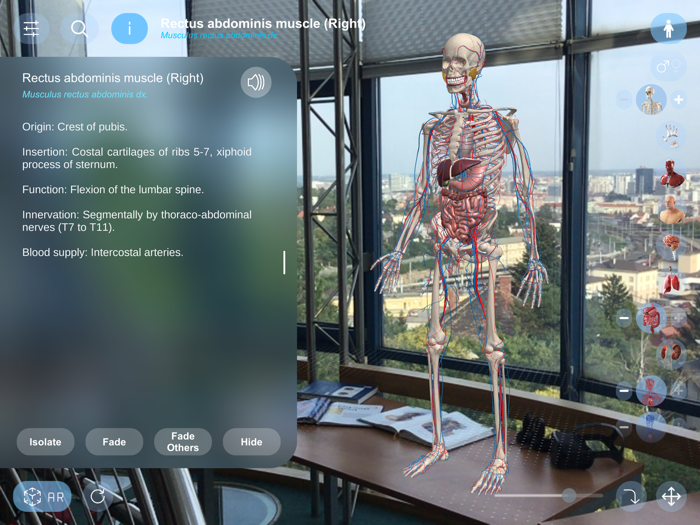 AR Anatomy