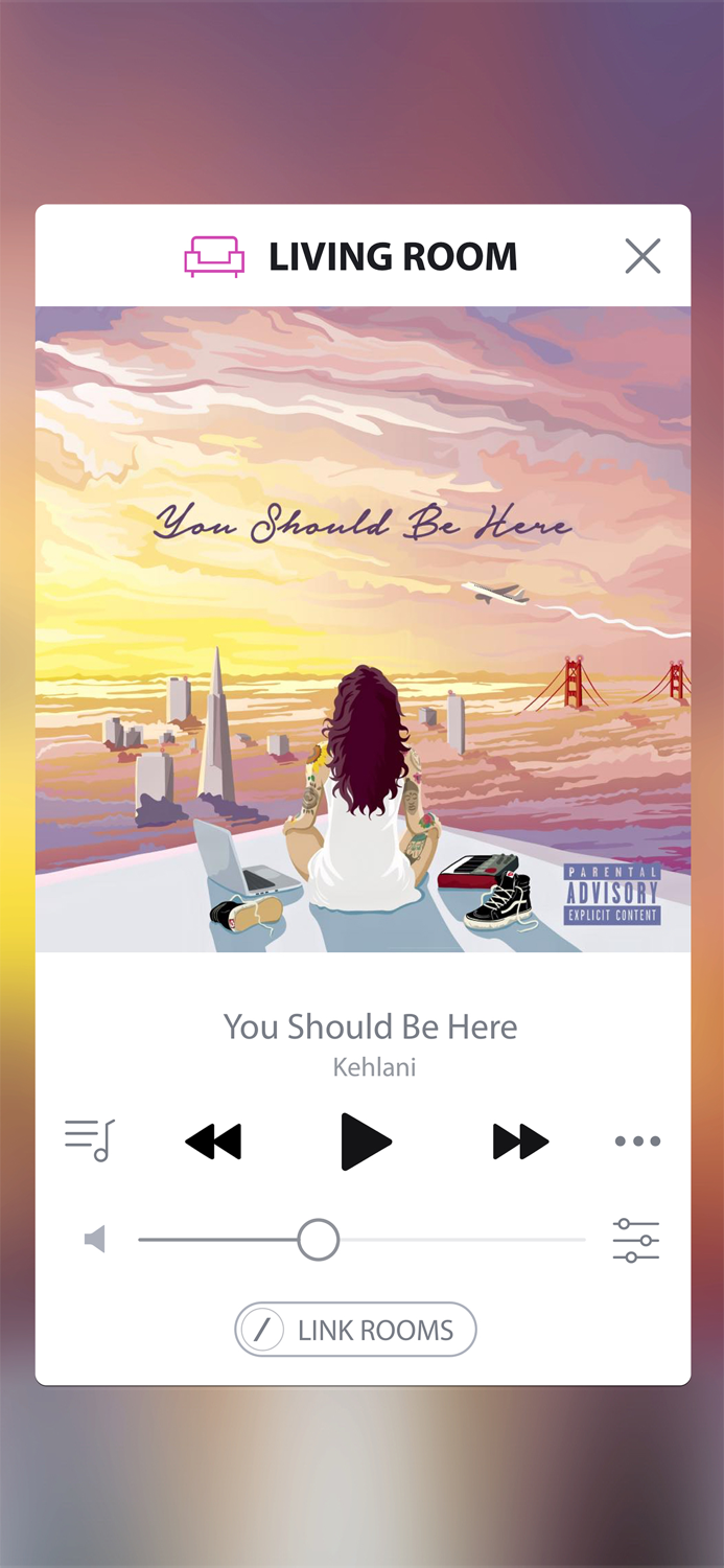 Harman Kardon Controller