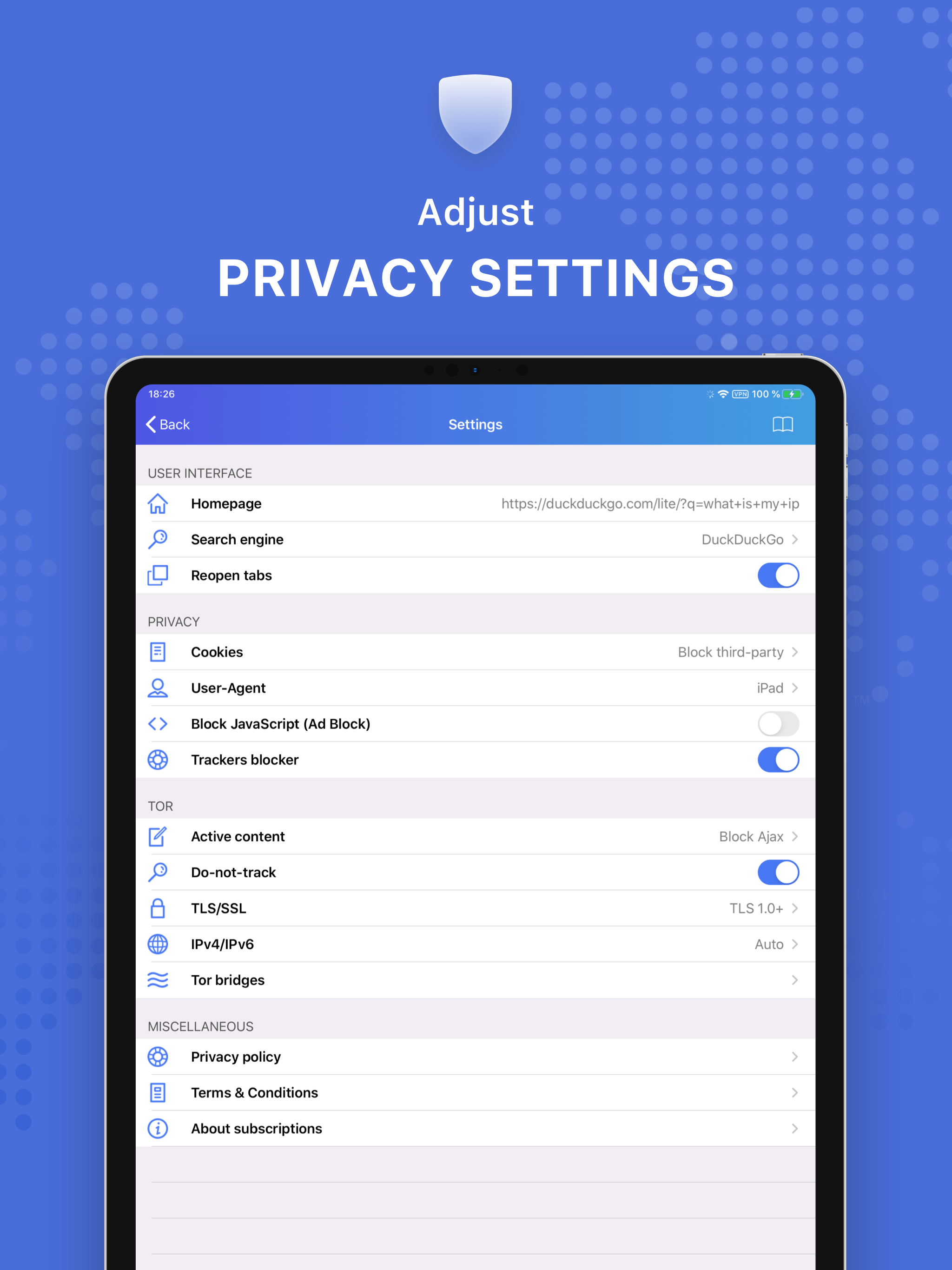 TOR Browser Private + VPN