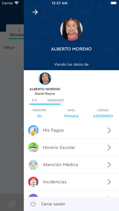 AIEC Callao Screenshot
