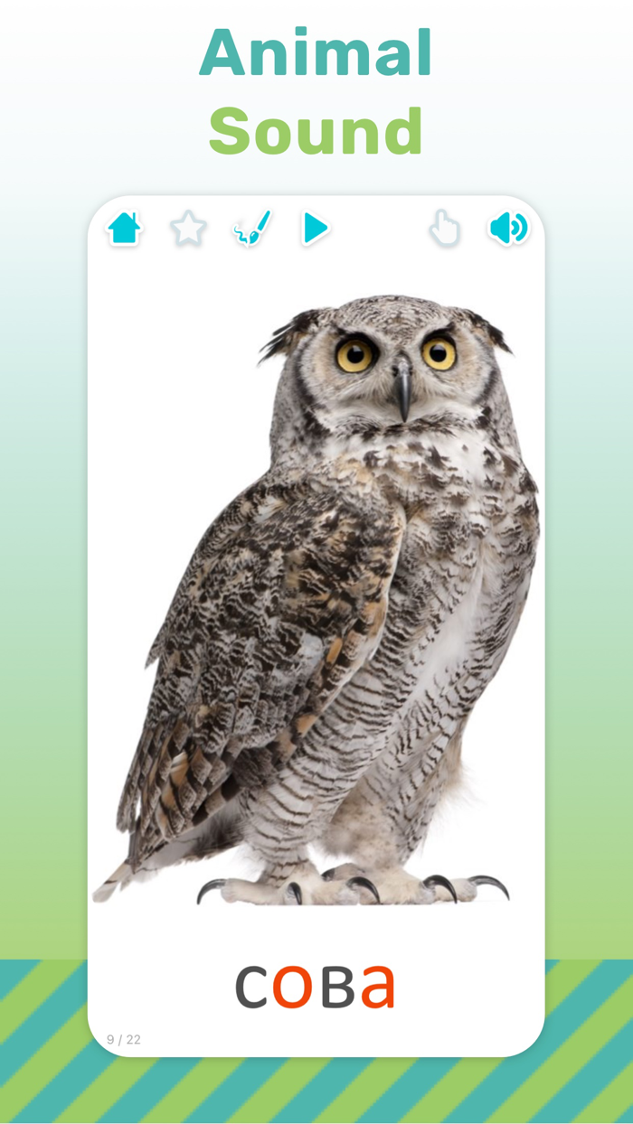 Flashcards for Kids in Russian