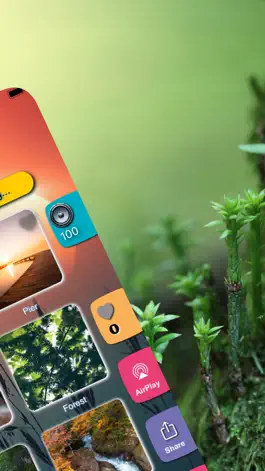 Game screenshot Relax Zen - Sleep Calm Sounds apk