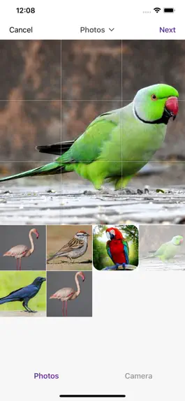 Game screenshot Internet of Birds hack