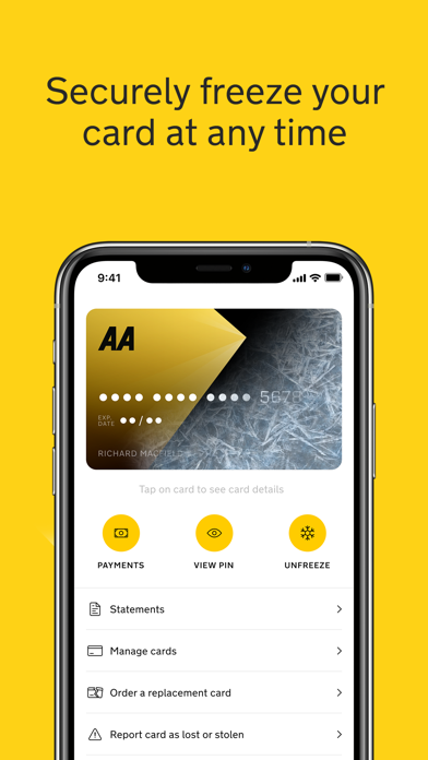 AA Credit Card Screenshot