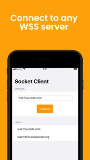 wss websocket client iphone screenshot 3